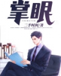 掌眼小说