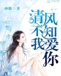 清风不知我爱你 小说
