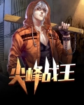 尖峰战王小说
