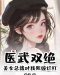 美女总裁神医保镖全文免费阅读